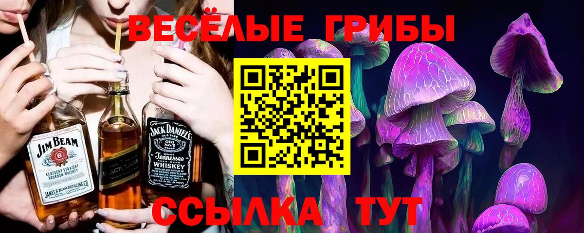 ГАШИШ  Вход с VPN  Гусиноозёрск  Меф   NBOMe  МАРИХУАНА  КОКАИН 