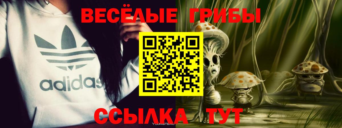 Псилоцибиновые грибы GOLDEN TEACHER  Псилоцибиновые грибы MAGIC MUSHROOMS  Вход с VPN  Гусиноозёрск 
